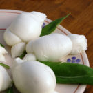 Dettaglio mozzarella pugliese prodotta ad Alberobello