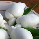 Dettaglio mozzarella pugliese prodotta ad Alberobello